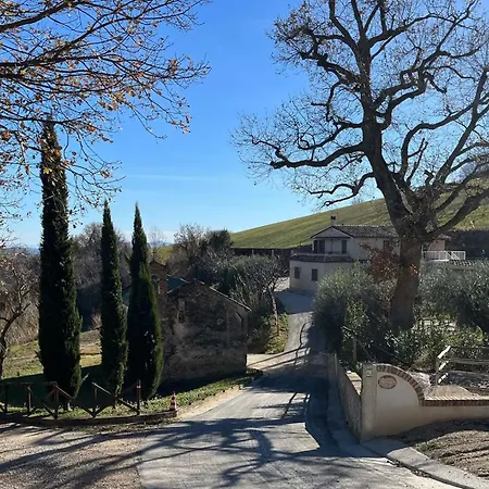 Madonna Della Sanita'