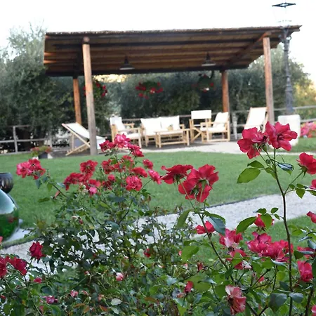 Luxury Retreats In *